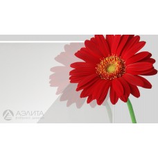 Триплекс 2+2 белое